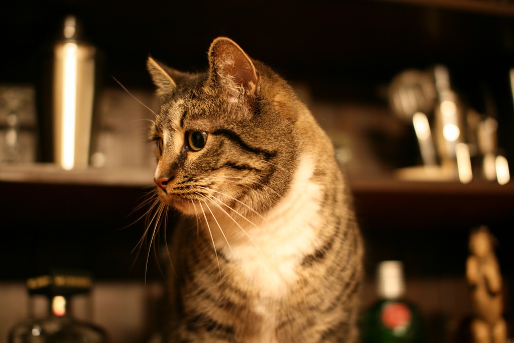 2179943872_e222889051_b