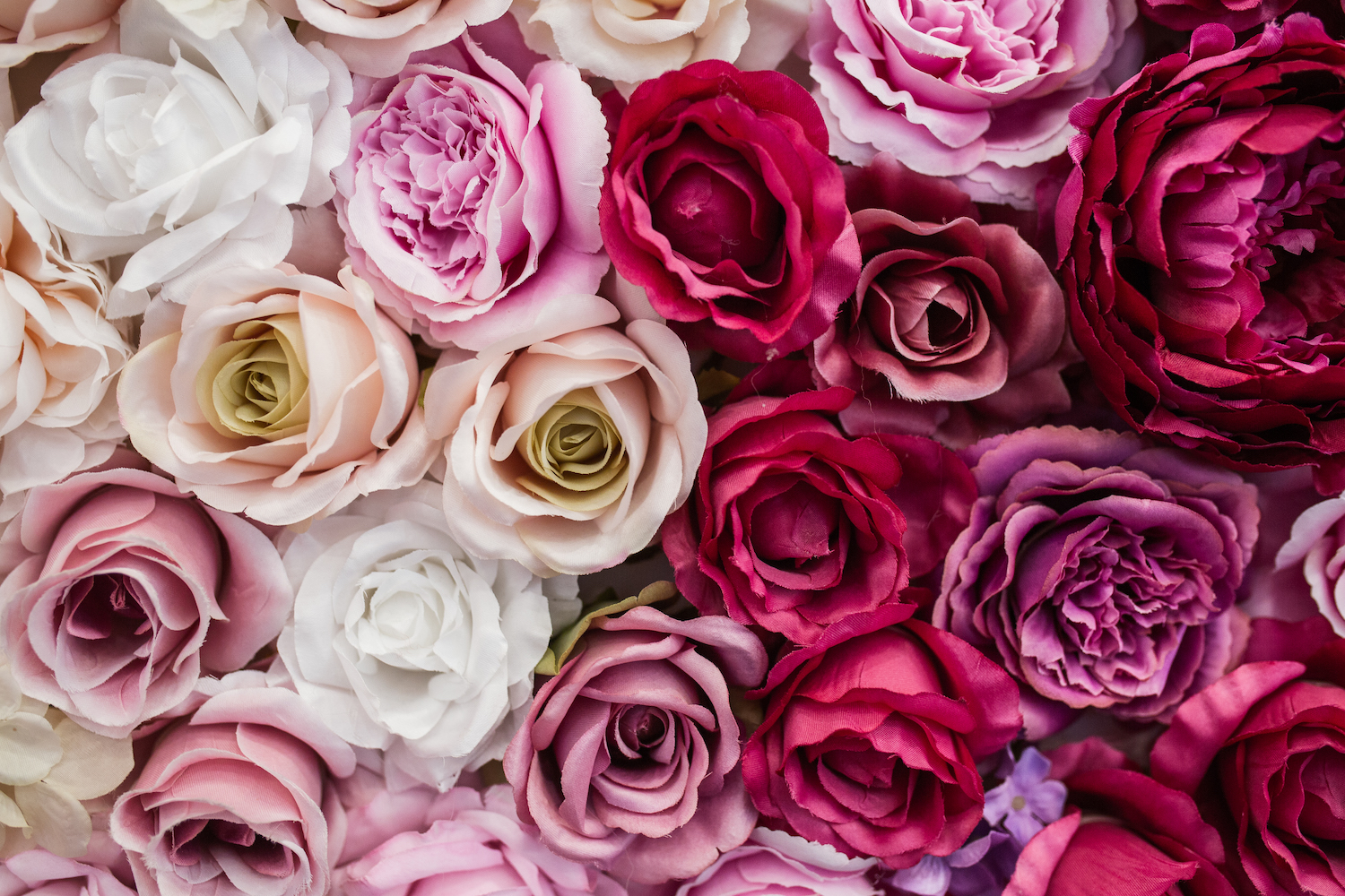 offrir des fleurs pour un mariage, choisir des roses éternelles ‣  Mademoiselle Dentelle