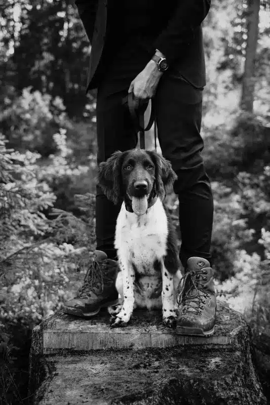 Shooting d'inspiration mariage dans les Dolomites